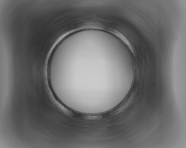 X0000110911339200906180958
