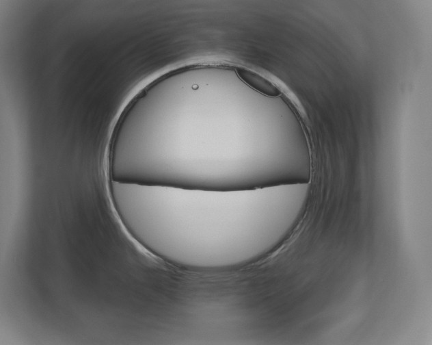 X0000110911343200906180958