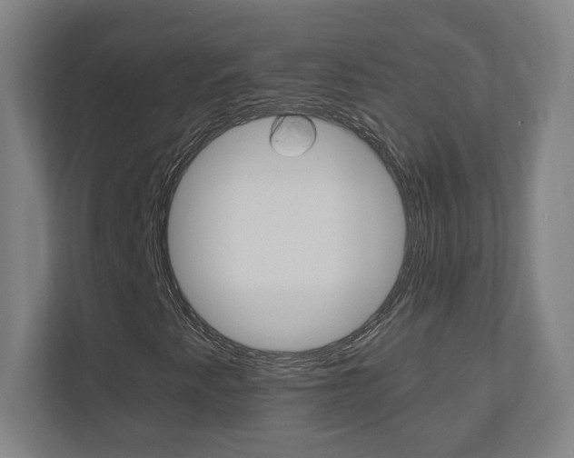 X0000110911345200906180958