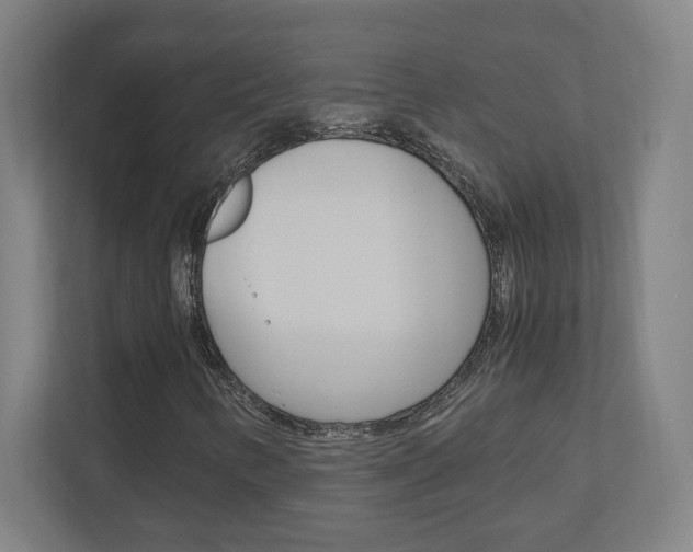 X0000110911346200906180958
