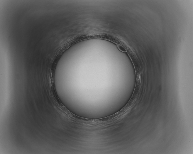 X0000110911348200906180958
