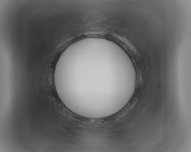 X0000110911350200906180958