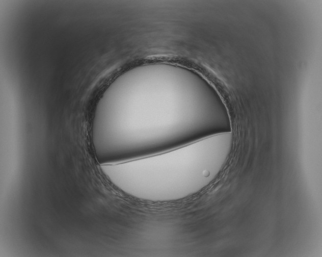X0000110911351200906180958