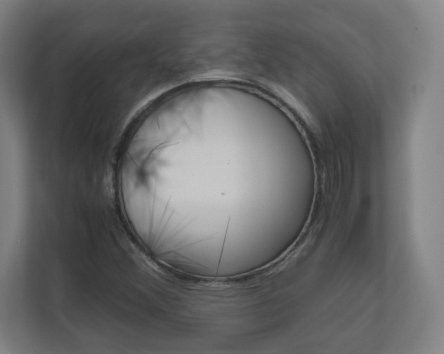 X0000110911356200906180958