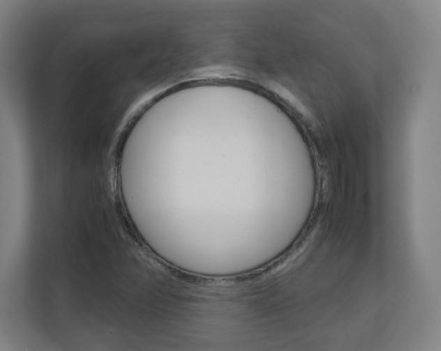 X0000110911358200906180958