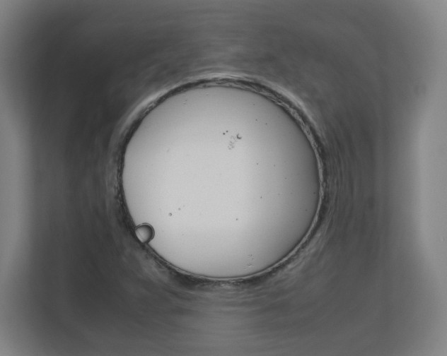 X0000110911359200906180958