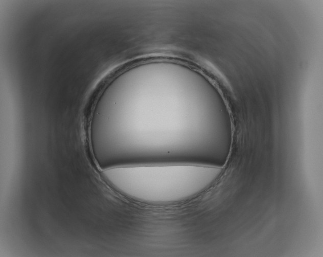 X0000110911360200906180958