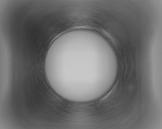 X0000110911361200906180957