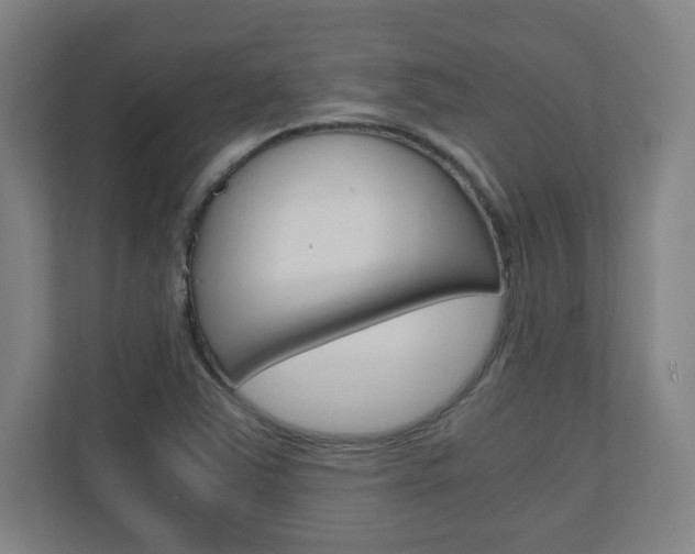 X0000110911363200906180957