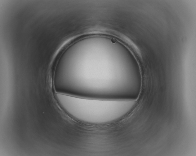 X0000110911368200906180957