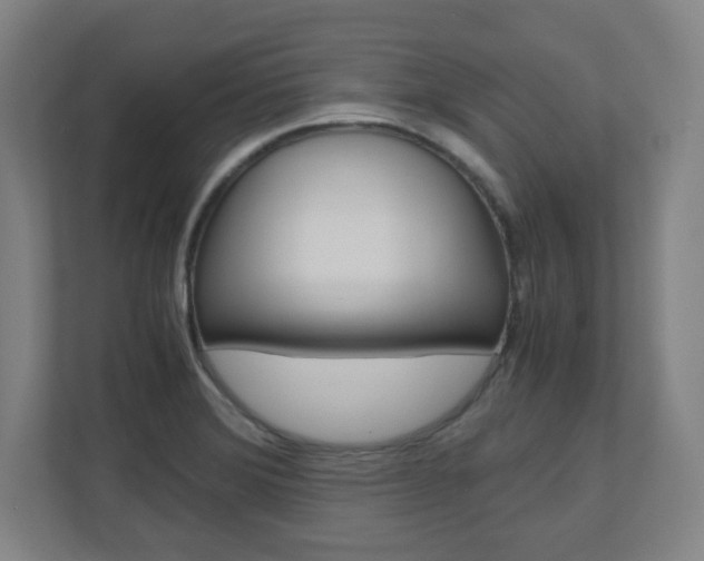 X0000110911372200906180957