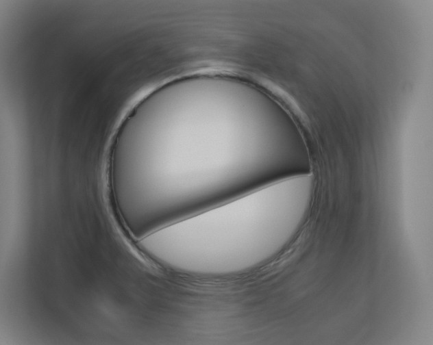X0000110911375200906180957