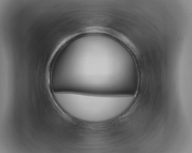 X0000110911376200906180957