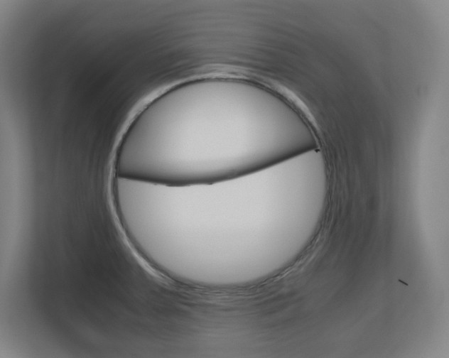 X0000110911379200906180957