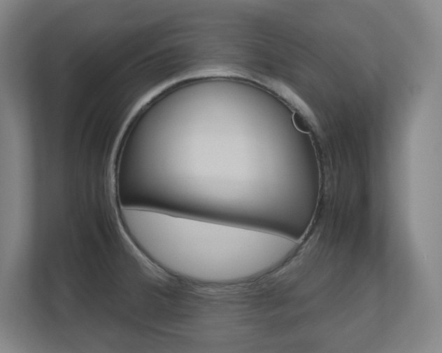 X0000110911380200906180957