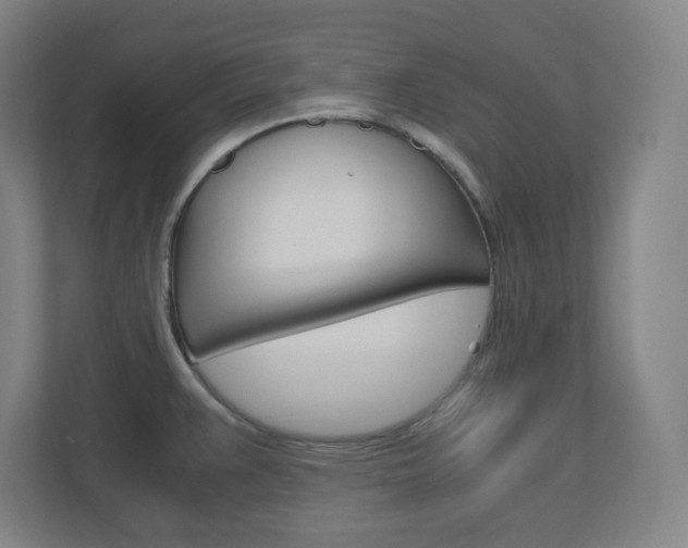 X0000110911383200906180957
