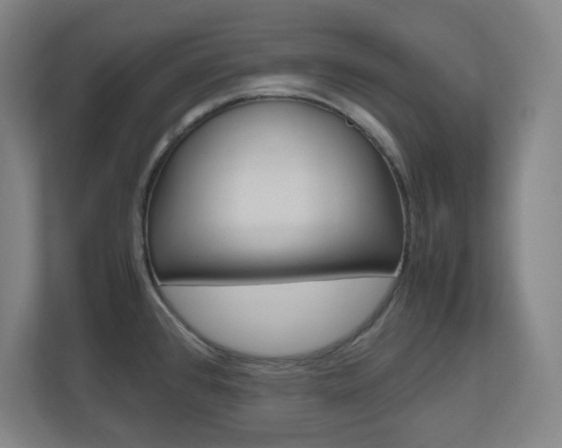 X0000110911384200906180957