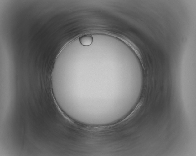 X0000110911385200906180957