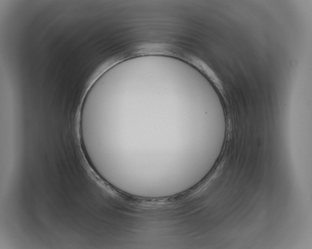 X0000110911386200906180957