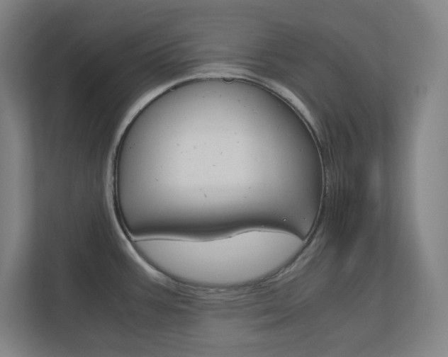 X0000110911387200906180957