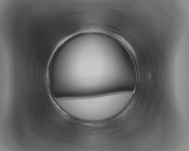X0000110911388200906180957