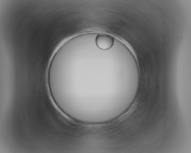 X0000110911389200906180957