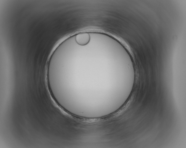 X0000110911390200906180957