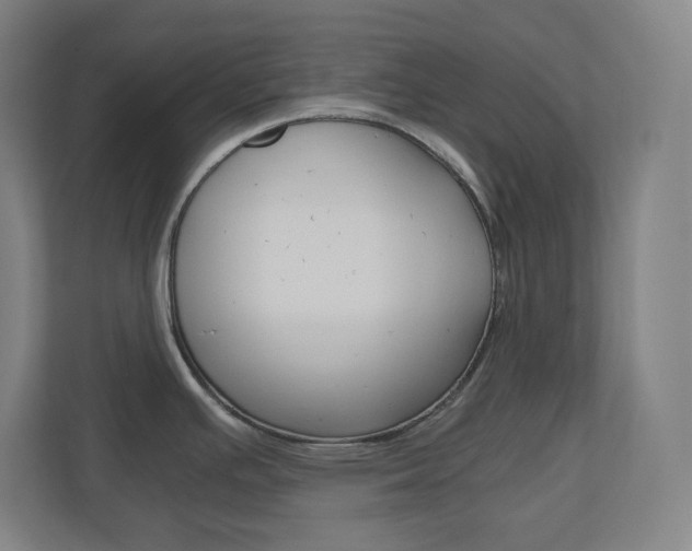 X0000110911391200906180957