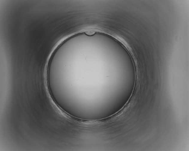 X0000110911392200906180957