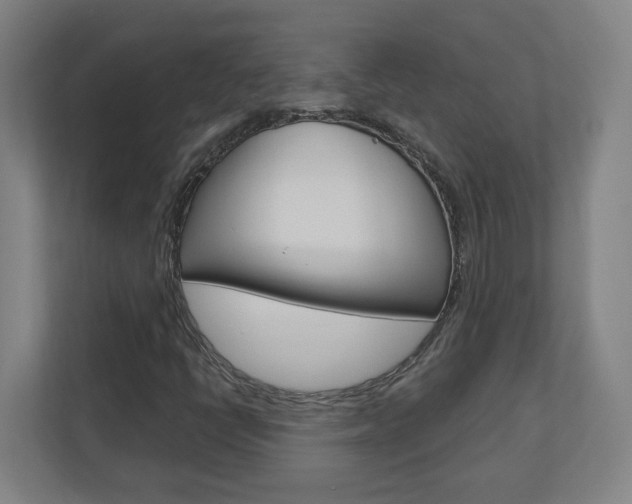 X0000110911398200906180957