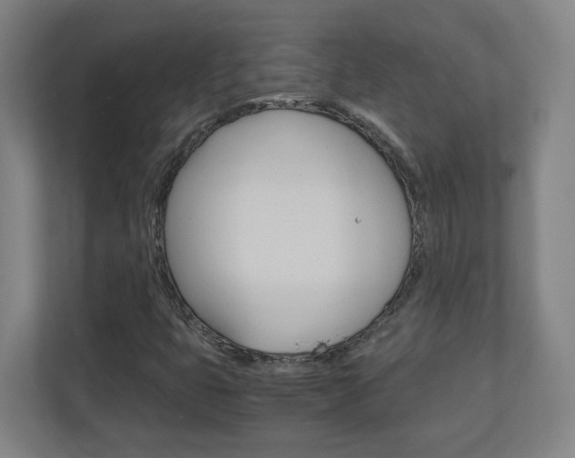 X0000110911399200906180957