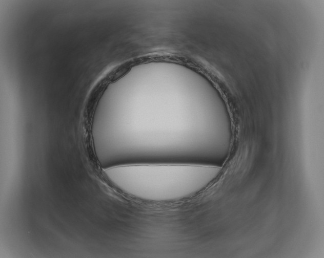 X0000110911400200906180957