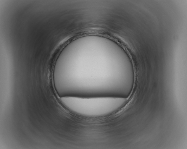 X0000110911402200906180957