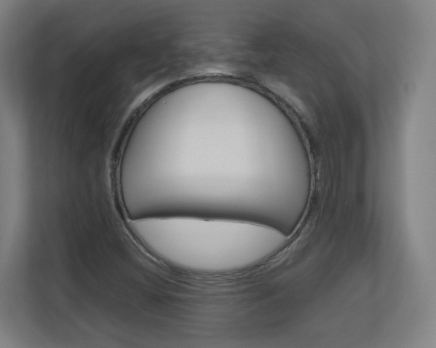 X0000110911404200906180957