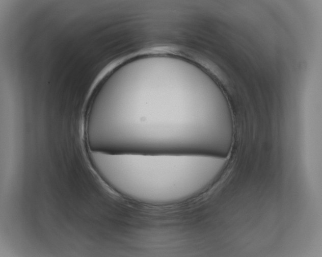 X0000110911420200906180957
