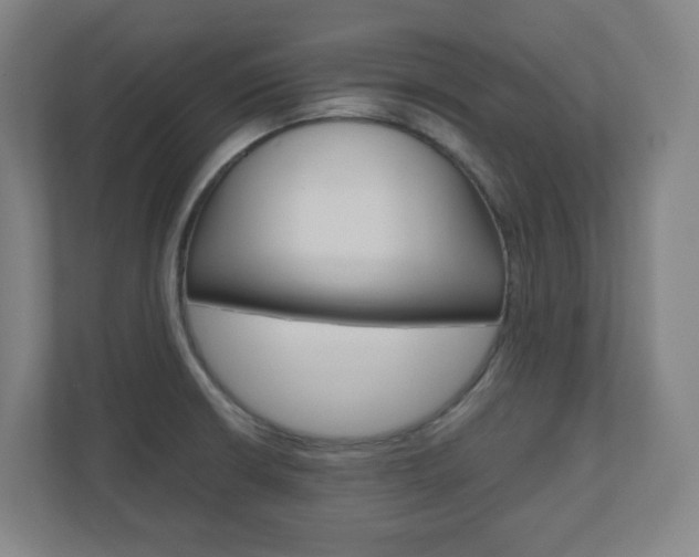 X0000110911426200906180957
