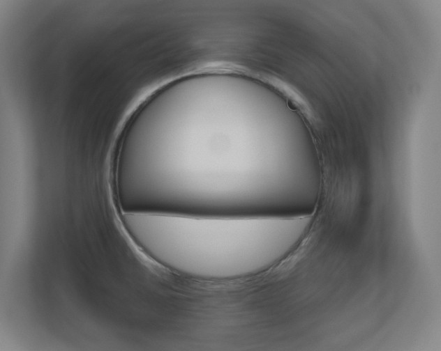 X0000110911430200906180957