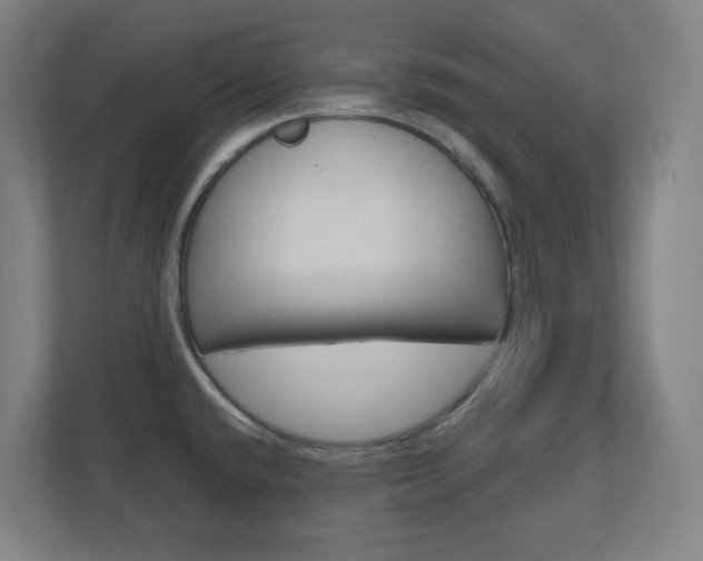 X0000110911432200906180957