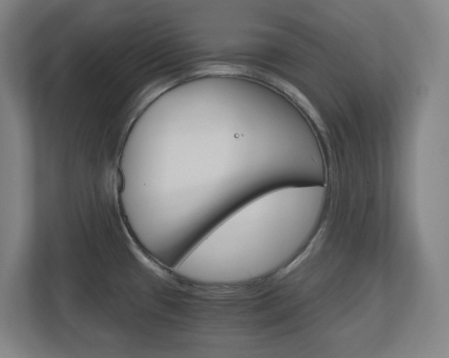 X0000110911433200906180957