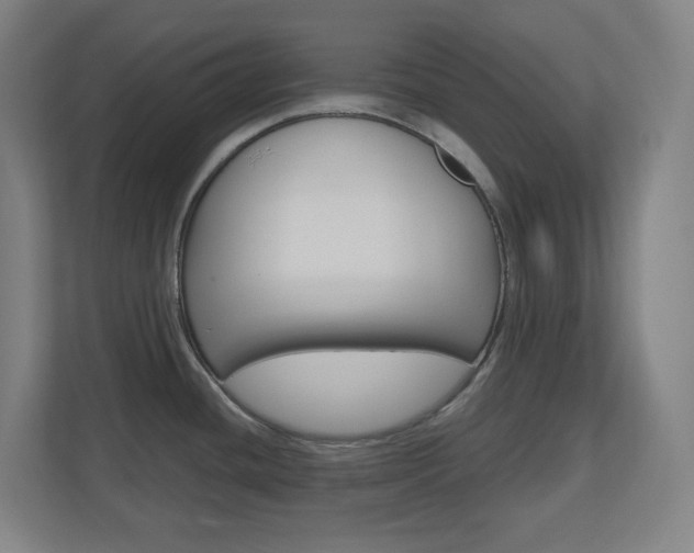 X0000110911436200906180957