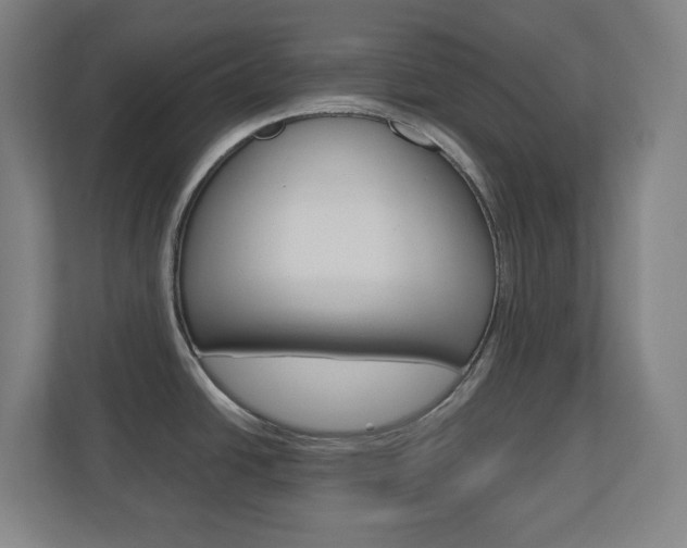 X0000110911438200906180957