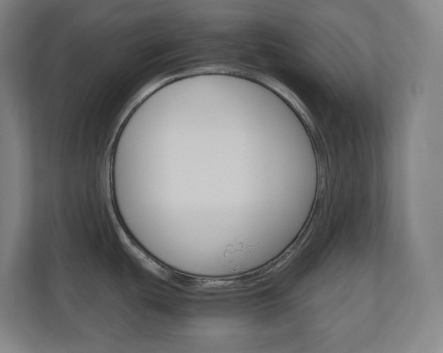 X0000110911439200906180957