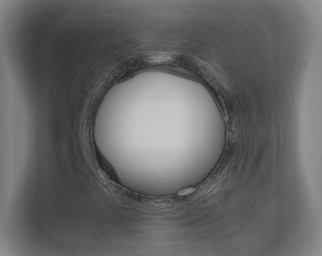 X0000110911441200906180956