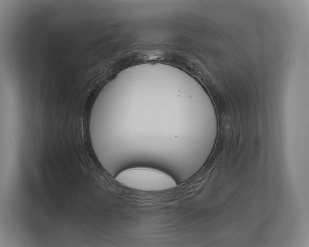 X0000110911442200906180956