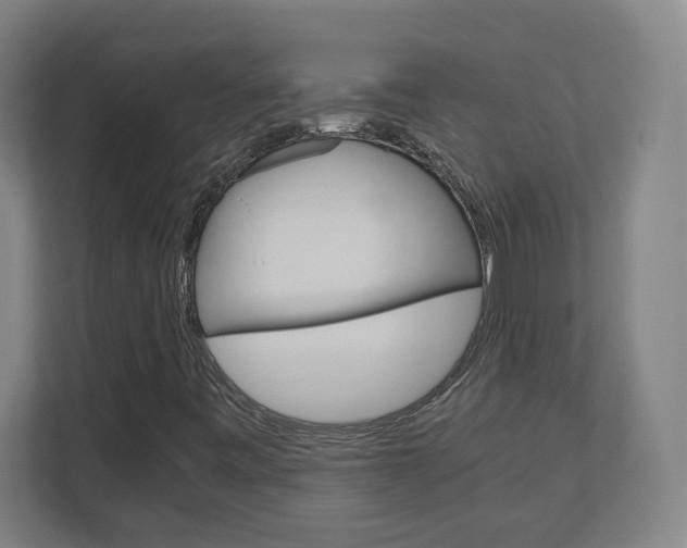 X0000110911443200906180956