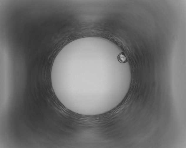 X0000110911444200906180956