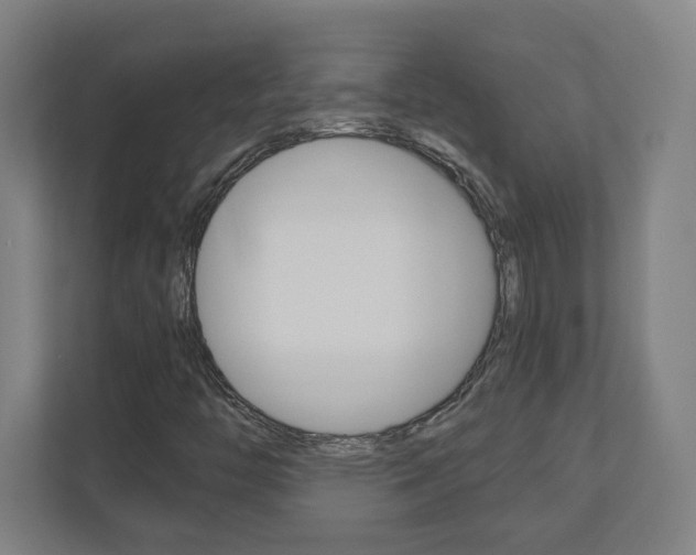 X0000110911446200906180956