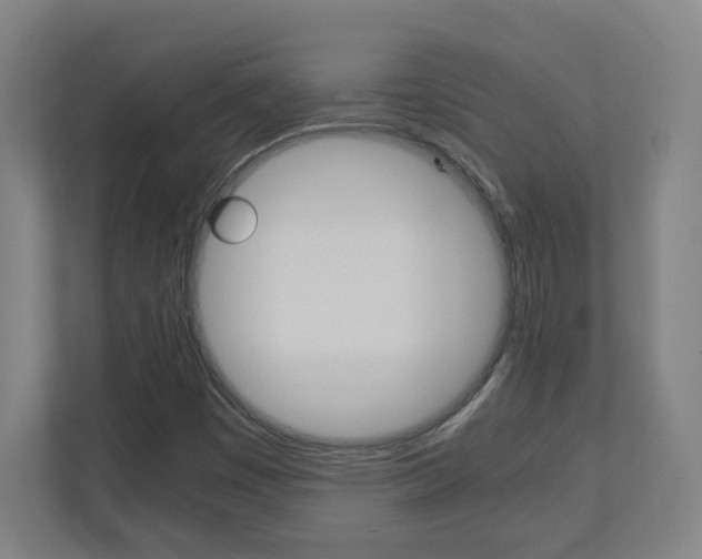 X0000110911449200906180956