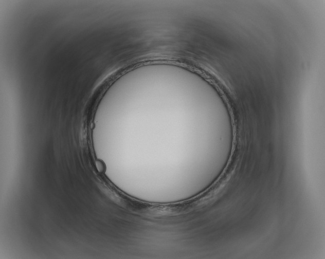 X0000110911450200906180956