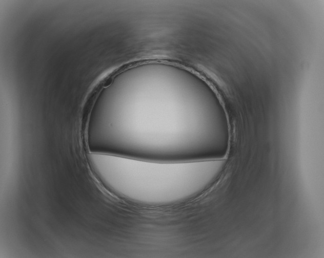 X0000110911452200906180956